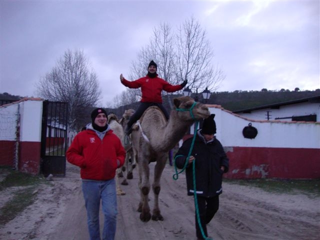 de ruta en camello
